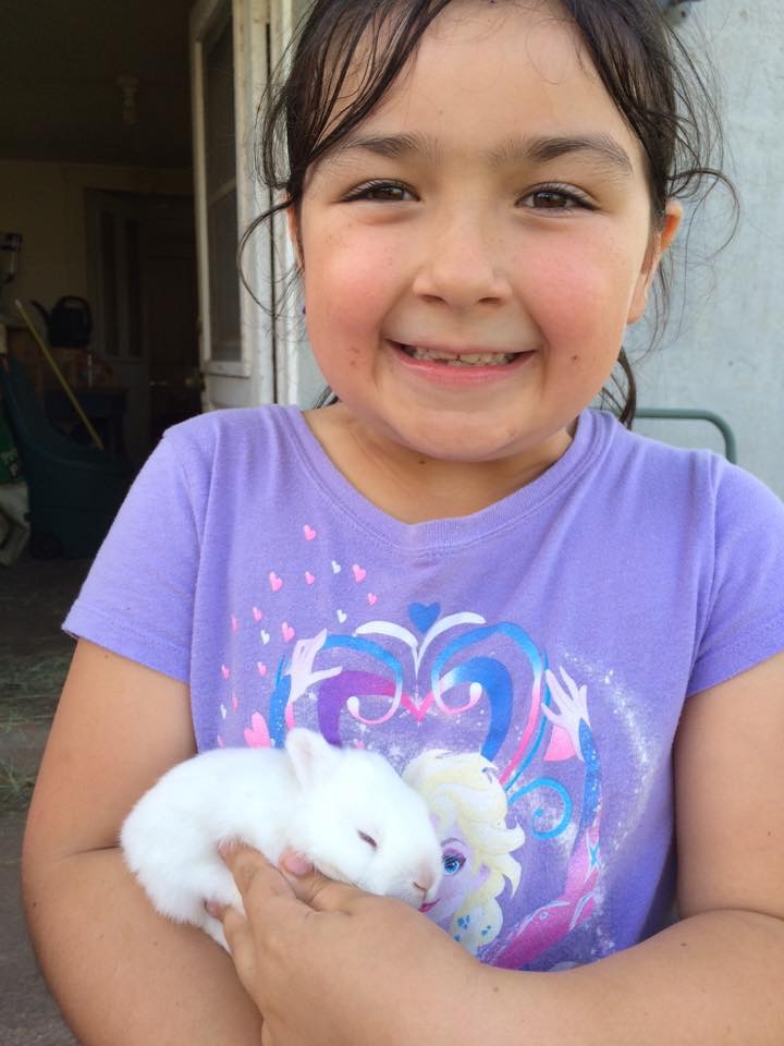agritourism-adventures in west tx